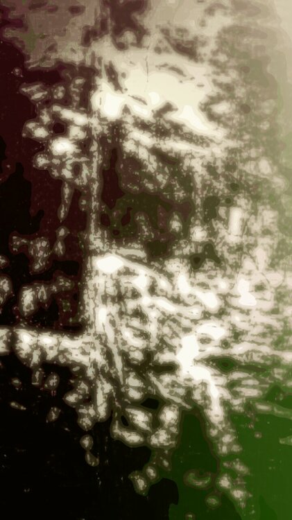 PicsArt_02-11-06_16_29.thumb.jpg.c06214ab4ee8e52dfb9d7803ff04ea5d.jpg