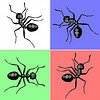 Ants