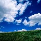 PrairieWarden