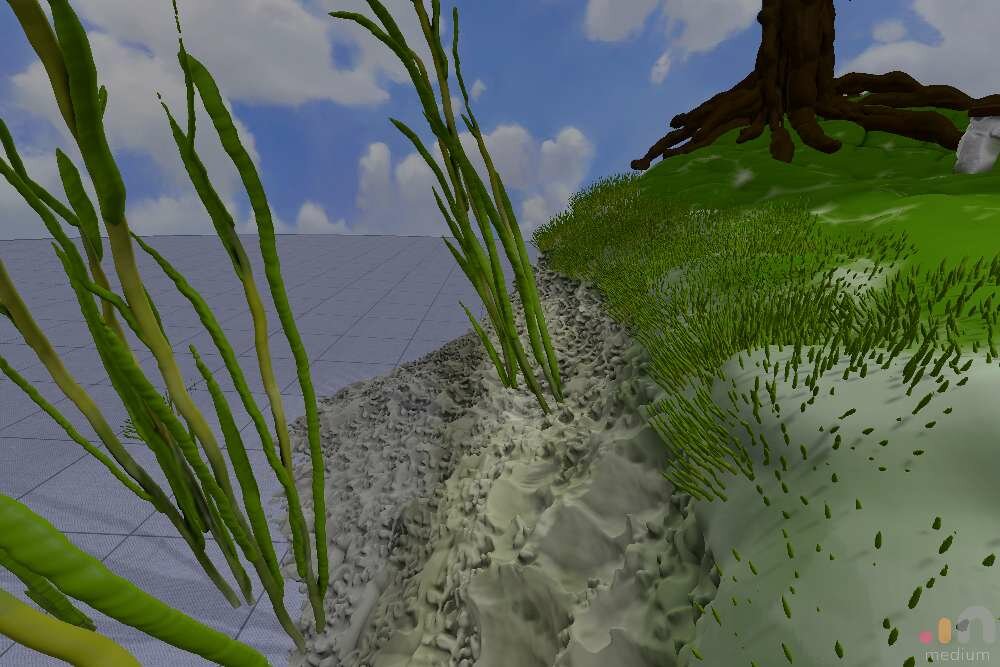beach_grass_tree.thumb.jpg.569411ade6d7c237c793908e537f9bee.jpg