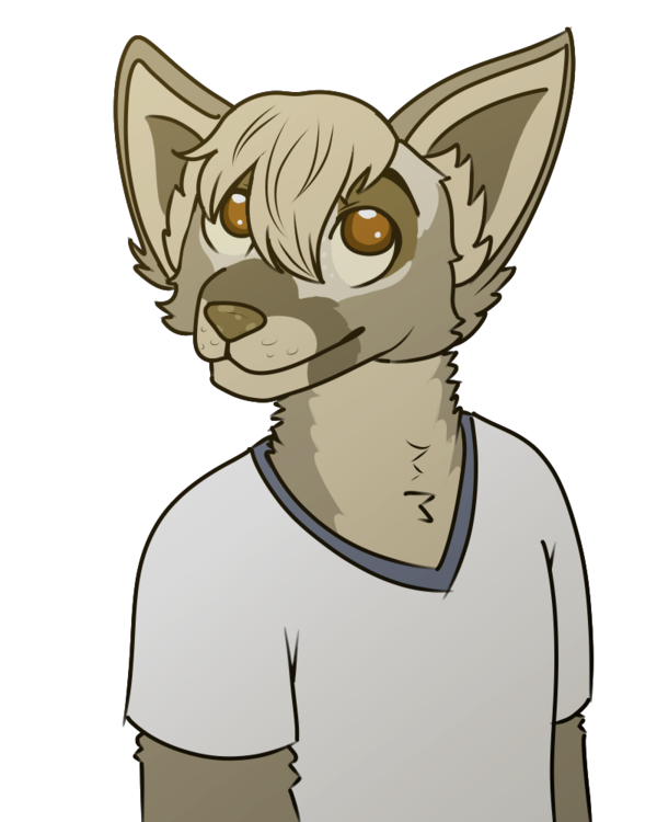 1629076871896.png