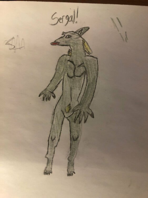 sergal1.jpg