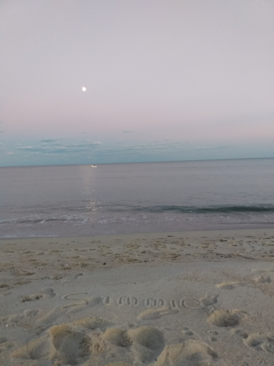 image.thumb.png.a713071c81dca7f7beac0bf9d3e72ccf.png