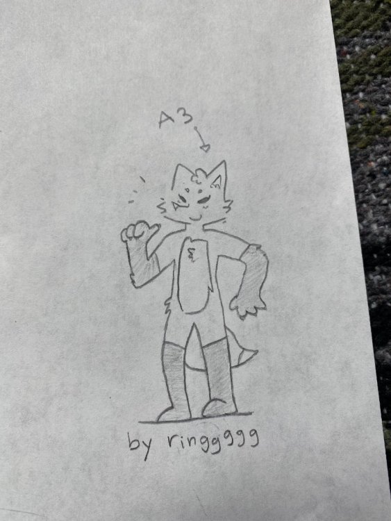 image.jpeg.d00517c5f63b495decc40f4c8bc08de4.jpeg
