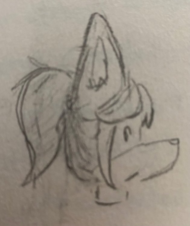 image.thumb.jpeg.dbc264a2a0c12613d8a691f0c0b5c676.jpeg