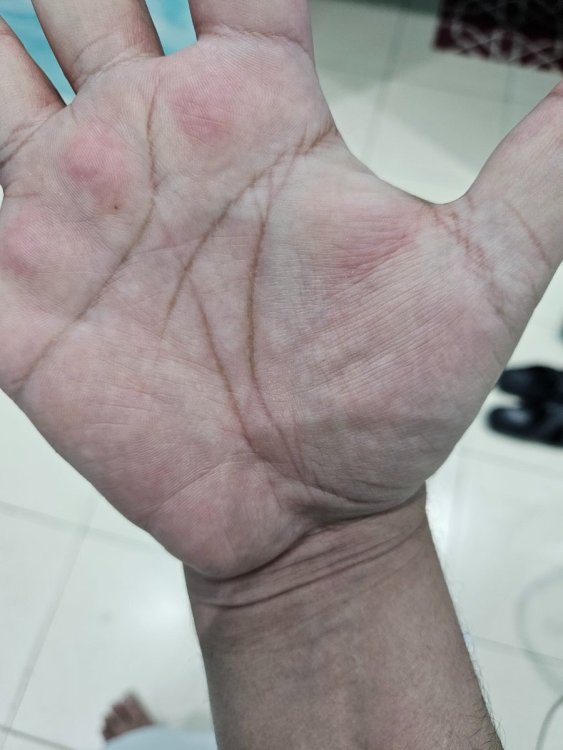 ٢٠٢٤٠٦٠٩_٢١٠٣٥٨.jpg