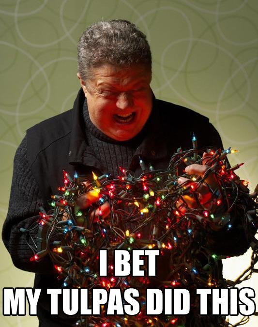Imnotsayingitstulpasbutitstulpas.jpg.ec2e0838ca9af7437ff00ab77f645417.jpg