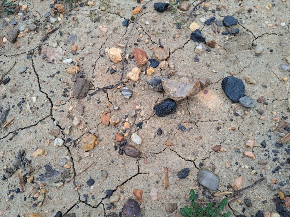 image.thumb.jpeg.ff6ccb8ae16ab63b47e21d470e39cc54.jpeg