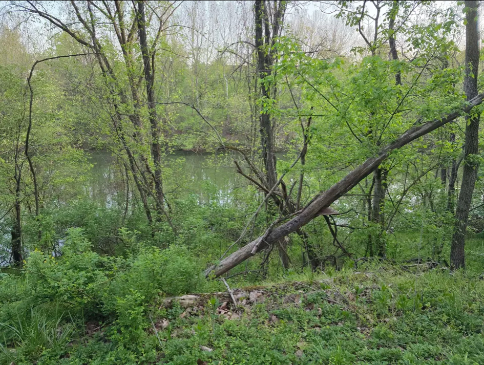 image.png.f8a6f1c71c855681d8dfd0fe01eabe34.png