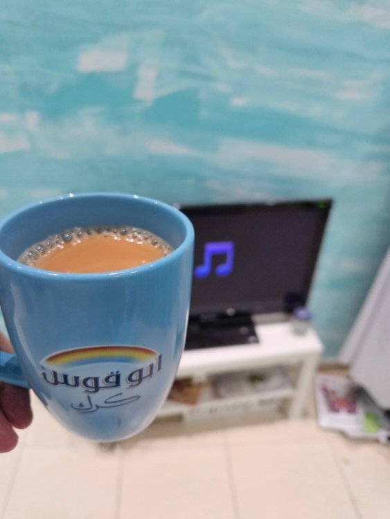 ٢٠٢٥١٢٢٣_٠٥٢٢٢٧.jpg
