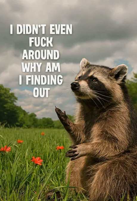 findingout.png.510e376a6dea0721b34719036b72c3b0.png
