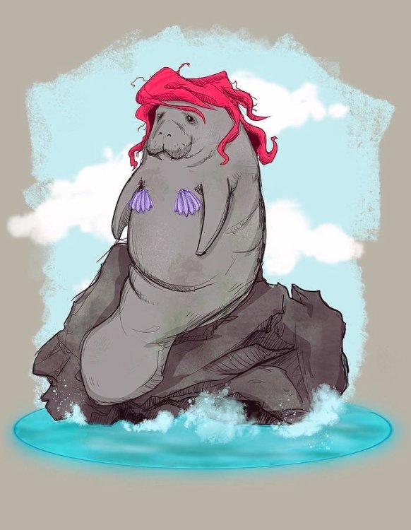 the-little-manatee-ludwig-van-bacon.jpg